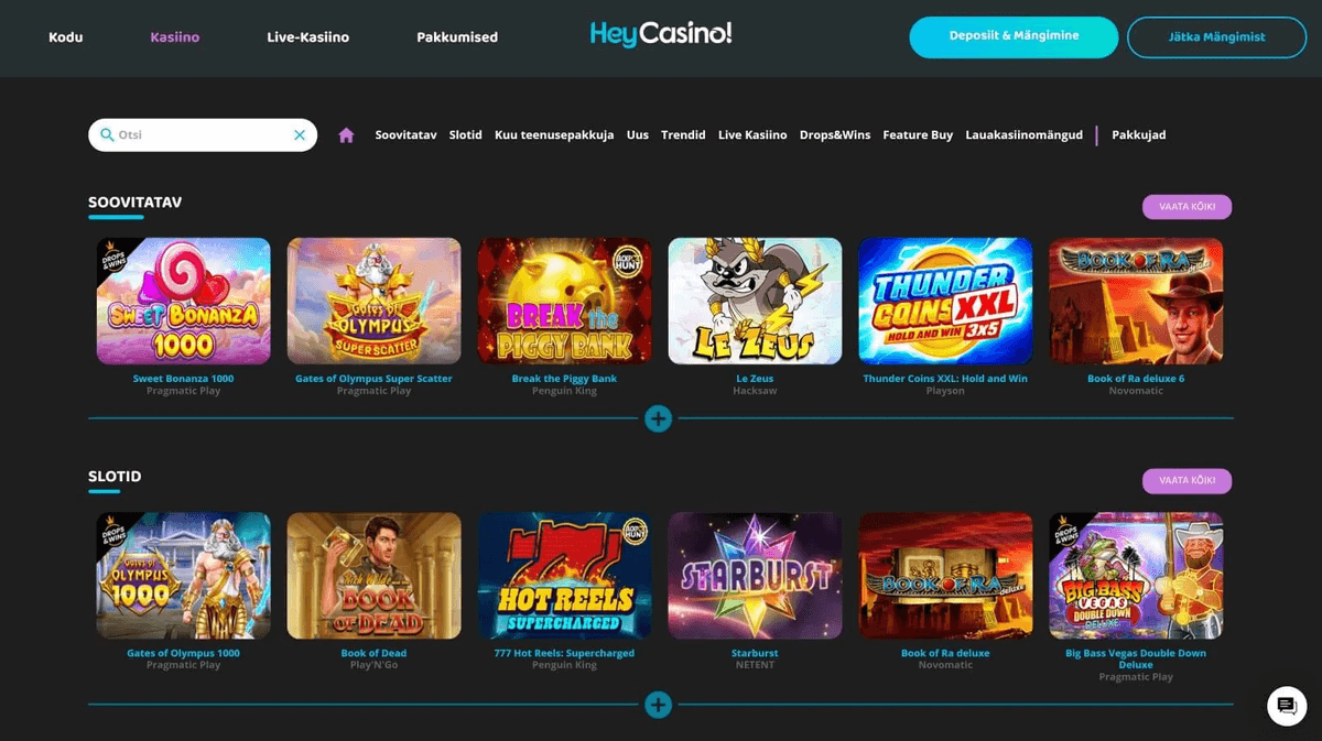 Hey Casino Nederland: Dé Entertainment Hub van 2026 image 2